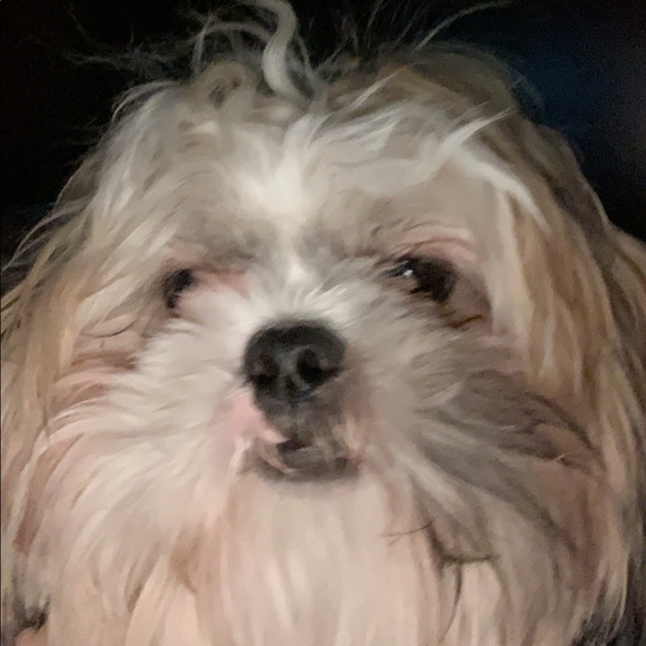 Profile Picture of Hannah Manheimer (@hannahmanheimer) on Poshmark