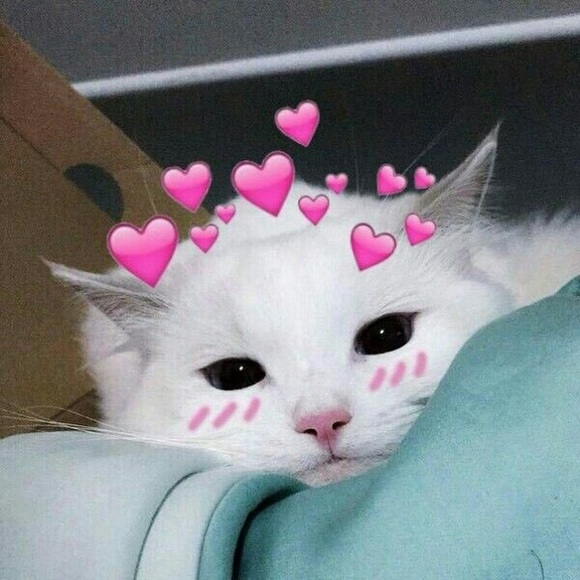 Profile Picture of Ann Braskett (@kinderbann) on Poshmark