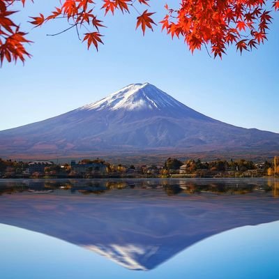 Profile Picture of Jim.XO (@JimXue1) on Twitter