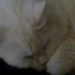 Profile Picture of Beverly Tusing (@bedawii) on Pinterest