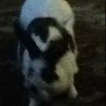 Profile Picture of Marshall Welch (@marshallwelch) on Instagram