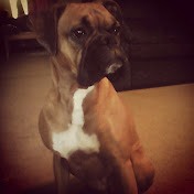 Profile Picture of Devon Stevenson (@devonstevenson2286) on Youtube