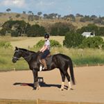 Profile Picture of Kate Mannion (@katemliving) on Instagram