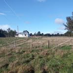 Profile Picture of Leonel Calisto (@Leonel-Calisto) on Facebook