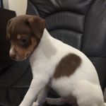 Profile Picture of Matthew D. Barrios (@matthewdb101105) on Instagram