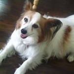 Profile Picture of Richard Yoshida (@richard.yoshida) on Instagram