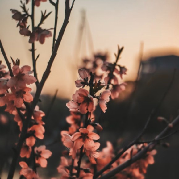 Profile Picture of Katie Melinger (@katiemelinger27) on Poshmark