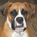 Profile Picture of Tyrone Judge (@ttjudge360) on Pinterest