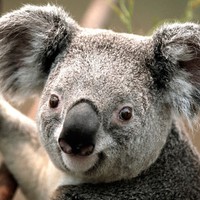 Profile Picture of Isa Lopez (@isa-lopez-5-1) on Quora
