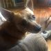 Profile Picture of Darrell Burrell (@darrell.burrell.948) on Facebook