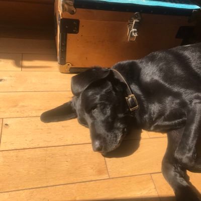 Profile Picture of Lisa Jane Campbell (@Dolly_1971) on Twitter