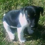 Profile Picture of Nico Momo (@nicolas_morgane8) on Instagram