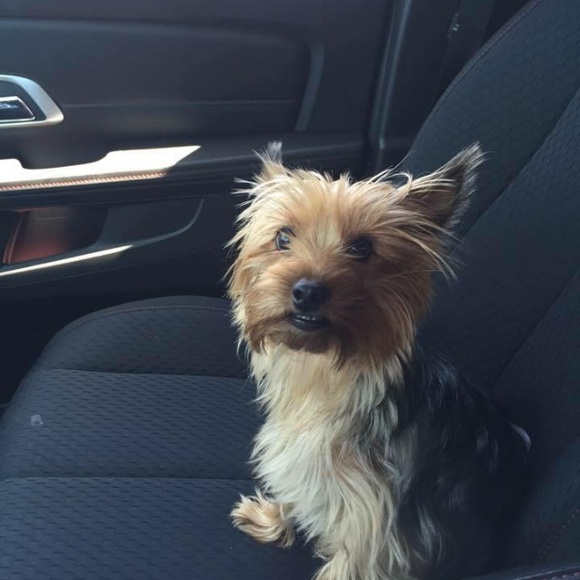 Profile Picture of Jessica Nobbe (@jnobbe) on Poshmark