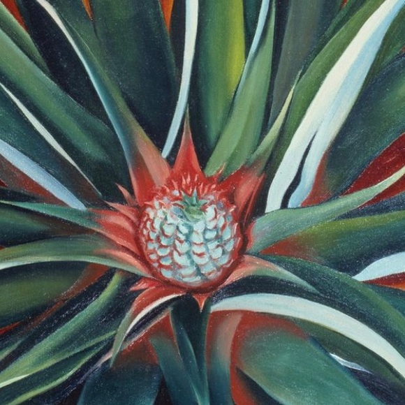 Profile Picture of Amber Fasig (@amberfasig) on Poshmark