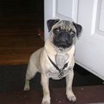 Profile Picture of Lisa Marie Cappellano Morales (@dramajay143) on Instagram