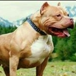 Profile Picture of Wilson Cano (@wilson.cano.121) on Instagram