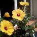 Profile Picture of Edith Grousset (@edith.grousset) on Facebook
