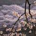 Profile Picture of Watson Thomas (@waytogo4385) on Pinterest