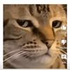 Profile Picture of Alex Willett (@@the_general14) on Tiktok