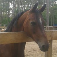 Profile Picture of Robin Borges (@robin-borges-2) on Quora