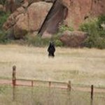 Profile Picture of Lee Faulkner (@lee.faulkner.370) on Instagram