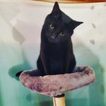 Profile Picture of Kim Rossettie (@kimrossettie) on Instagram