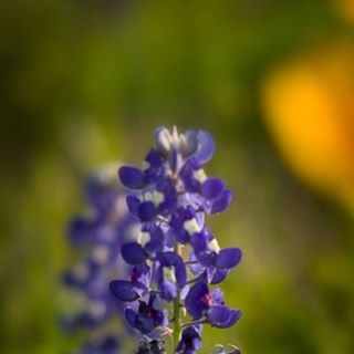 Profile Picture of Andrew Ta (@andrew.ta.90) on Facebook