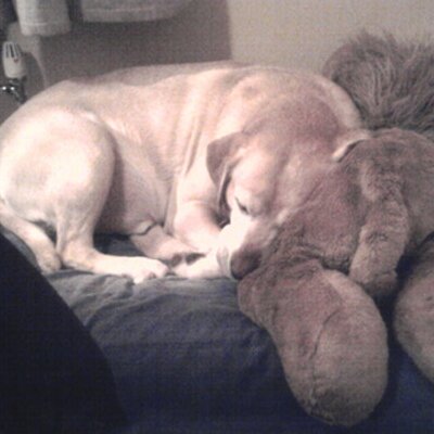 Profile Picture of David Marland (@ascoolas1) on Twitter