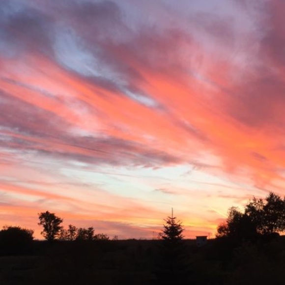 Profile Picture of Caitlin Kruschke (@caitlinkruschke) on Poshmark