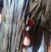 Profile Picture of Jerita (@jerita.jerita.370) on Facebook