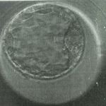 Profile Picture of Ayra Raymond Murphy (@ayraraymondmurphy) on Instagram