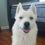 Profile Picture of Andrew Kittelson (@andrew_kittelson) on Instagram