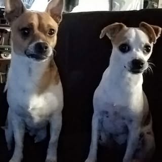 Profile Picture of James Rodeheaver (@rodeheaverjames) on Instagram