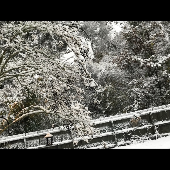 Profile Picture of Bella Busbin (@gracebusbin) on Poshmark