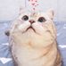 Profile Picture of Yong Oh (@so.yong.7549) on Facebook