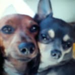 Profile Picture of Mickey Wetherbee (@mickey.wetherbee.3) on Facebook