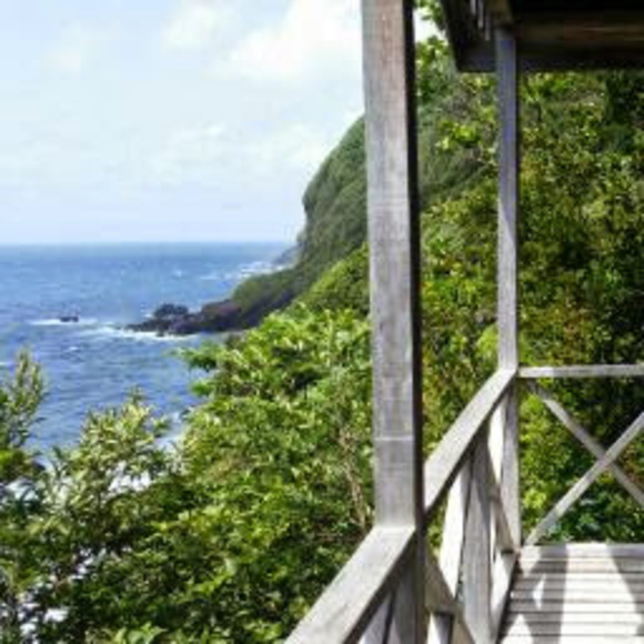 Profile Picture of Carrillo Santarosa (@ccarrillo2783) on Poshmark