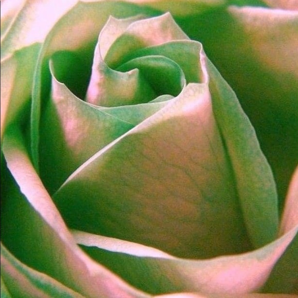 Profile Picture of Jannette Adams (@valleygrantgirl) on Poshmark