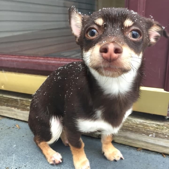 Profile Picture of Jerry Wayne (@jerrywayne643) on Poshmark