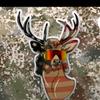 Profile Picture of Jesse Bledsoe (@@jessebledsoe2) on Tiktok