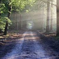 Profile Picture of Isabel James (@isabel-james-25) on Quora