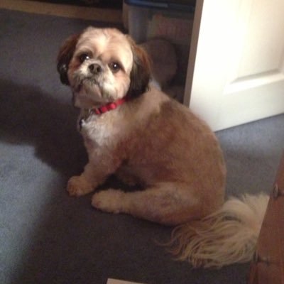 Profile Picture of Paul Monaghan (@Nathan913) on Twitter
