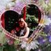Profile Picture of Beth Delph (@ladybeth1968) on Pinterest