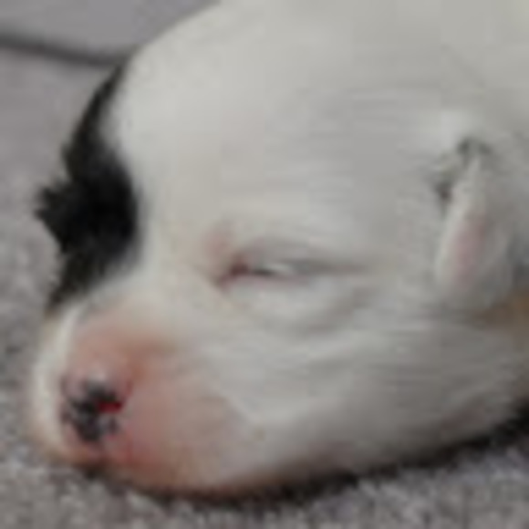 Profile Picture of Gregory Roberts (@gregoryrober410) on Poshmark