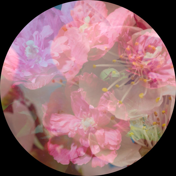 Profile Picture of Liminal Objects (@liminal_objects) on Poshmark