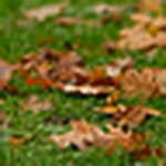 Profile Picture of Paul Beardmore (@paul beardmore) on Flickr