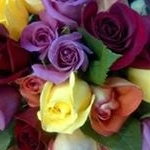 Profile Picture of Joanne Marzullo Velasquez (@jrose0954) on Instagram