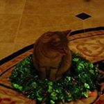 Profile Picture of Irina Glasgow (@irinaglasgow) on Instagram