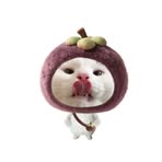 Profile Picture of Trinh Huyền (@trinh.hien.595303) on Facebook