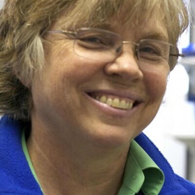 Profile Picture of Joan E. Strassmann (@JoanStrassmann) on Twitter